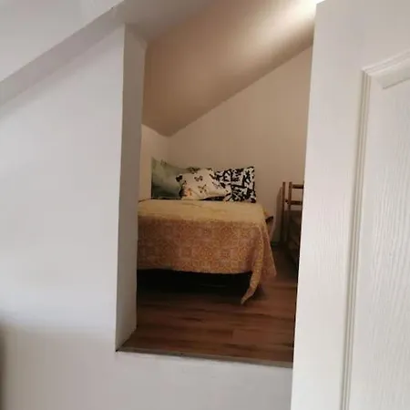 Vesna's Apartment