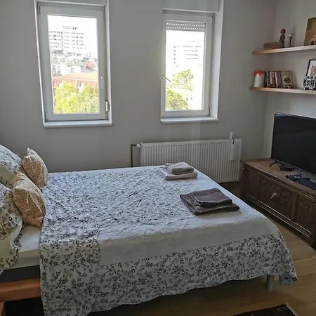 Vesna's Novi Sad